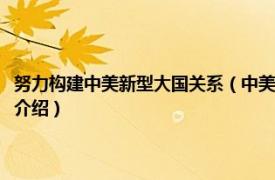 努力构建中美新型大国关系（中美新型大国关系：理论与构建相关内容简介介绍）