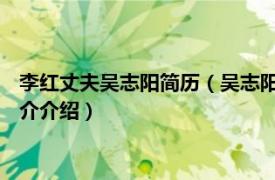 李红丈夫吴志阳简历（吴志阳 红相股份副董事长董事相关内容简介介绍）