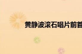 黄静波滚石唱片前首席运营官相关内容介绍