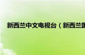 新西兰中文电视台（新西兰国际广播电台相关内容简介介绍）