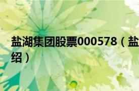 盐湖集团股票000578（盐湖股份[000792]相关内容简介介绍）