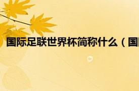 国际足联世界杯简称什么（国际足联世界杯相关内容简介介绍）