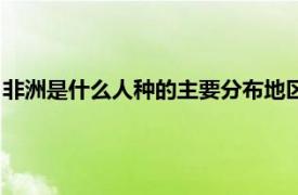 非洲是什么人种的主要分布地区（非洲的种族相关内容简介介绍）