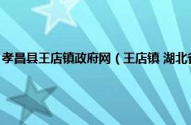 孝昌县王店镇政府网（王店镇 湖北省孝感市孝昌县辖镇相关内容简介介绍）