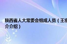 陕西省人大常委会组成人员（王宏民 陕西省人民代表大会代表相关内容简介介绍）