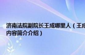 济南法院副院长王成哪里人（王成 山东省济南市中级人民法院副院长相关内容简介介绍）