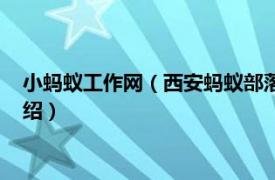 小蚂蚁工作网（西安蚂蚁部落网络科技有限公司相关内容简介介绍）