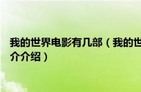 我的世界电影有几部（我的世界 彼得苏列特执导电影相关内容简介介绍）