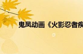 鬼凤动画《火影忍者疾风传》角色相关内容介绍