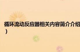 循环流动反应器相关内容简介介绍视频（循环流动反应器相关内容简介介绍）