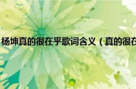 杨坤真的很在乎歌词含义（真的很在乎 杨坤演唱的歌曲相关内容简介介绍）