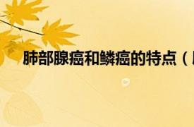 肺部腺癌和鳞癌的特点（肺腺鳞癌相关内容简介介绍）