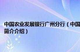 中国农业发展银行广州分行（中国农业银行股份有限公司广州分行相关内容简介介绍）