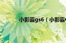 小影霸gs6（小影霸GS2相关内容简介介绍）