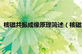 核磁共振成像原理简述（核磁共振成像原理相关内容简介介绍）