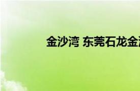 金沙湾 东莞石龙金沙湾相关内容简介介绍