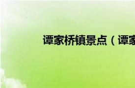 谭家桥镇景点（谭家桥相关内容简介介绍）