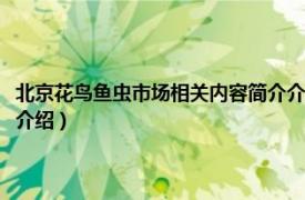 北京花鸟鱼虫市场相关内容简介介绍图片（北京花鸟鱼虫市场相关内容简介介绍）