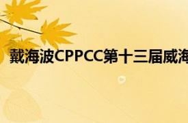 戴海波CPPCC第十三届威海市委常委秘书长相关内容简介