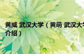 黄威 武汉大学（黄萌 武汉大学电气工程学院副教授相关内容简介介绍）