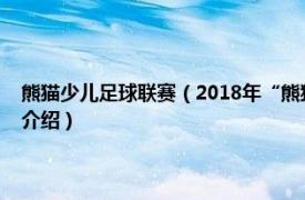 熊猫少儿足球联赛（2018年“熊猫杯”国际青年足球锦标赛相关内容简介介绍）