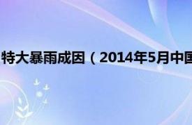 特大暴雨成因（2014年5月中国南方特大暴雨相关内容简介介绍）