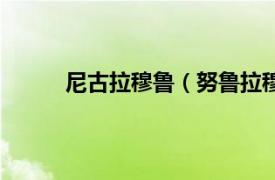 尼古拉穆鲁（努鲁拉穆尼尔相关内容简介介绍）