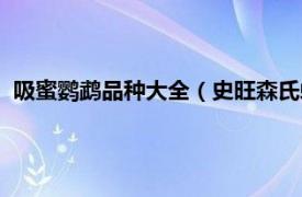 吸蜜鹦鹉品种大全（史旺森氏虹彩吸蜜鹦鹉相关内容简介介绍）