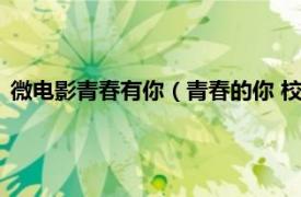 微电影青春有你（青春的你 校园青春微电影相关内容简介介绍）