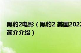 黑豹2电影（黑豹2 美国2022年瑞恩库格勒执导的电影相关内容简介介绍）