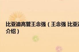 比亚迪高管王念强（王念强 比亚迪股份有限公司执行副总裁相关内容简介介绍）