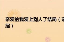 亲爱的我爱上别人了结局（亲爱的我爱上别人了相关内容简介介绍）