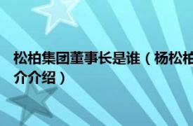 松柏集团董事长是谁（杨松柏 中房股份副董事长董事相关内容简介介绍）