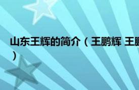 山东王辉的简介（王鹏辉 王鹏辉山东大学教授相关内容简介介绍）