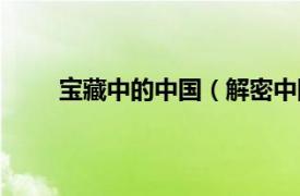 宝藏中的中国（解密中国宝藏相关内容简介介绍）