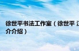 徐世平书法工作室（徐世平 江苏省国画院特聘书法家相关内容简介介绍）