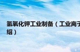 氢氧化钾工业制备（工业离子膜法氢氧化钾溶液相关内容简介介绍）