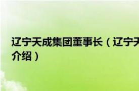 辽宁天成集团董事长（辽宁天成控股集团有限公司相关内容简介介绍）