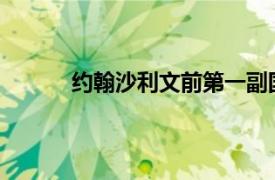 约翰沙利文前第一副国务卿、前驻俄大使简介