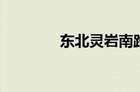 东北灵岩南路相关内容简介