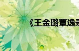 《王金璐覃逸录》相关内容简介