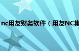 nc用友财务软件（用友NC集团财务管理相关内容简介介绍）