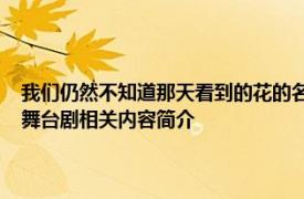 我们仍然不知道那天看到的花的名字2022年市川美织和鸟由纪主演的日本舞台剧相关内容简介