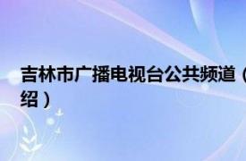 吉林市广播电视台公共频道（吉林市广播电视台相关内容简介介绍）