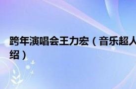 跨年演唱会王力宏（音乐超人 王力宏演唱会造型相关内容简介介绍）