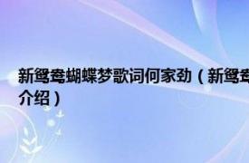 新鸳鸯蝴蝶梦歌词何家劲（新鸳鸯蝴蝶梦 何家劲演唱的歌曲相关内容简介介绍）