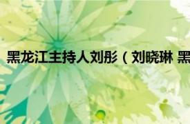 黑龙江主持人刘彤（刘晓琳 黑龙江籍主持人相关内容简介介绍）