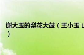 谢大玉的梨花大鼓（王小玉 山东梨花大鼓艺人相关内容简介介绍）