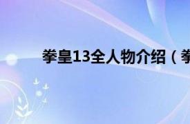 拳皇13全人物介绍（拳皇13相关内容简介介绍）