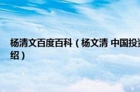 杨清文百度百科（杨文清 中国投资有限责任公司纪委书记相关内容简介介绍）